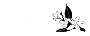 Angela Tocados de Porcelana